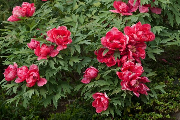 Impact de votre cote de crédit sur l'obtention d'un prêt hypothécaire : Tout ce qu'il faut savoir !