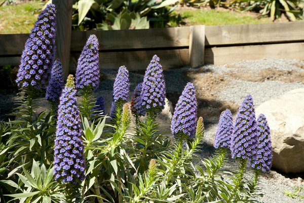 10 Idées Créatives pour Reimaginer Votre Salle à Manger avec Style