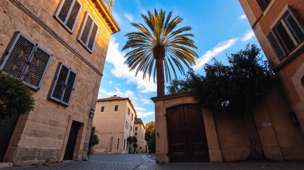 Top stratégies pour réussir la rénovation immobilière à Montpellier
